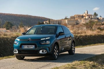 C4 Cactus