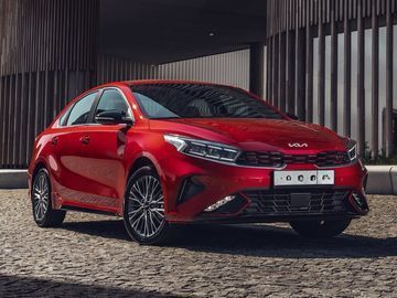 Cerato