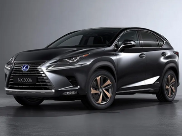 NX300h