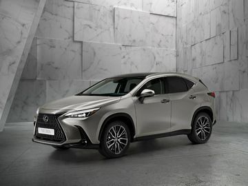 NX350