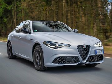 Giulia (952)