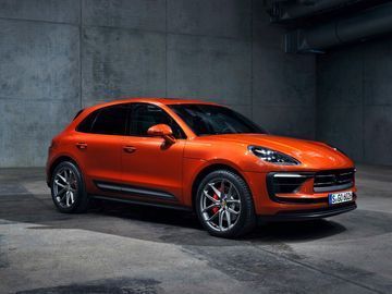 Macan
